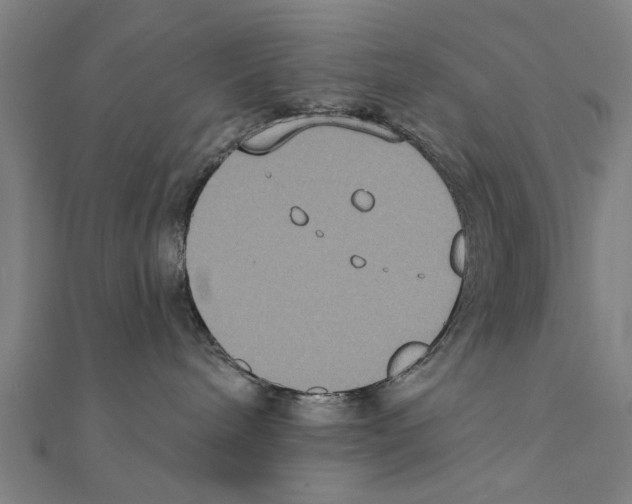 X0000111220240200907301232