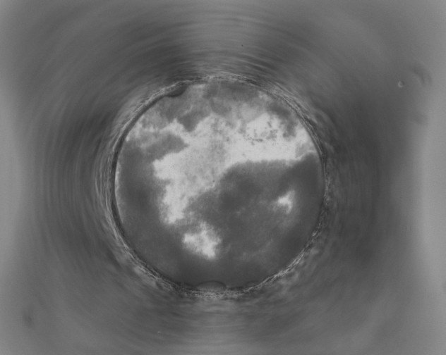 X0000111220241200907301231