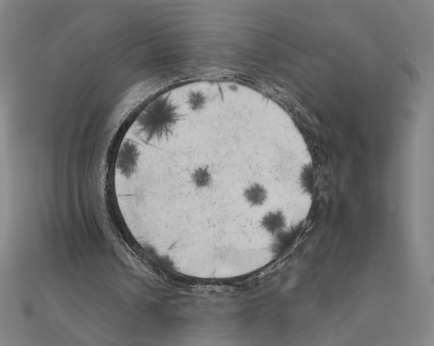 X0000111220242200907301231