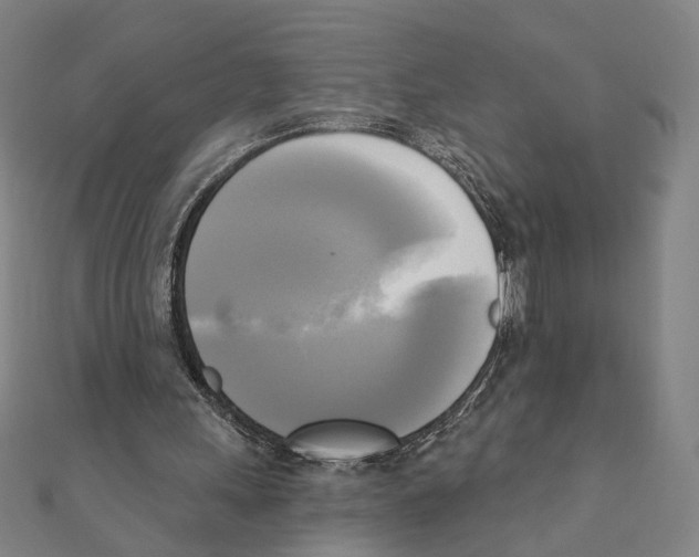 X0000111220243200907301231