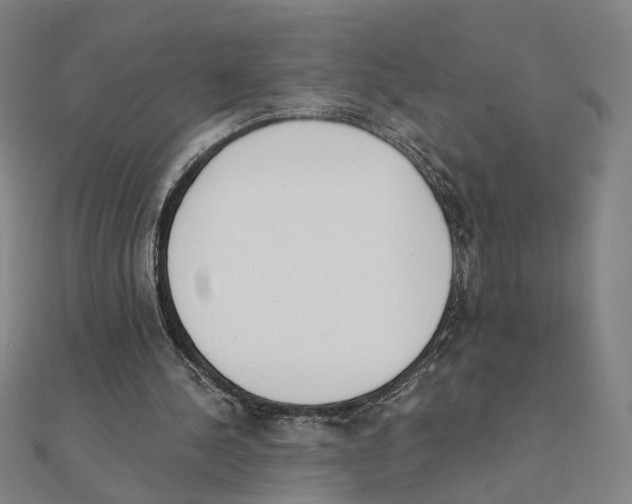 X0000111220244200907301231