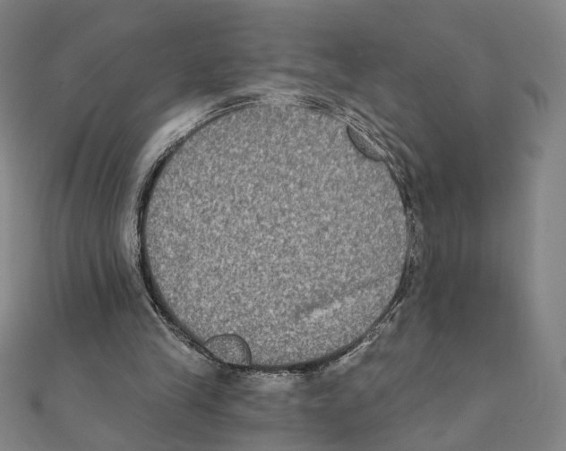 X0000111220245200907301231