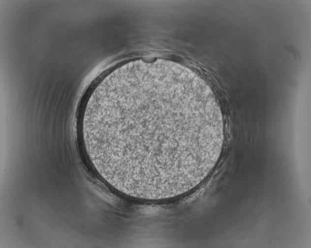 X0000111220246200907301231