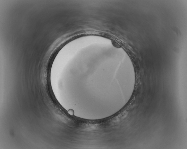 X0000111220247200907301231