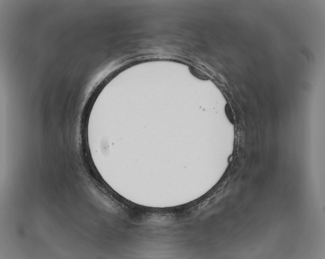 X0000111220248200907301231