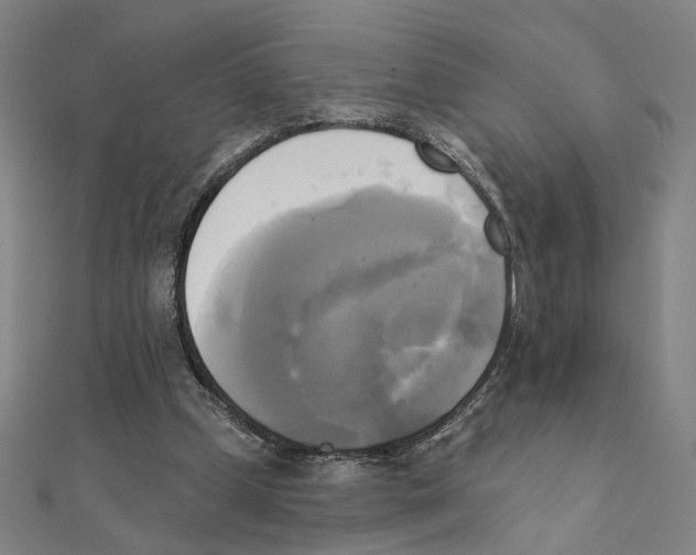 X0000111220249200907301231