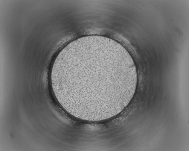 X0000111220250200907301231