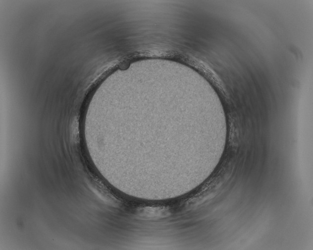 X0000111220251200907301231