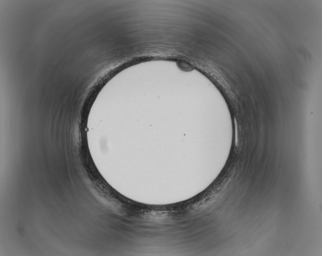 X0000111220252200907301231
