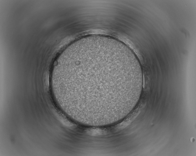 X0000111220253200907301231
