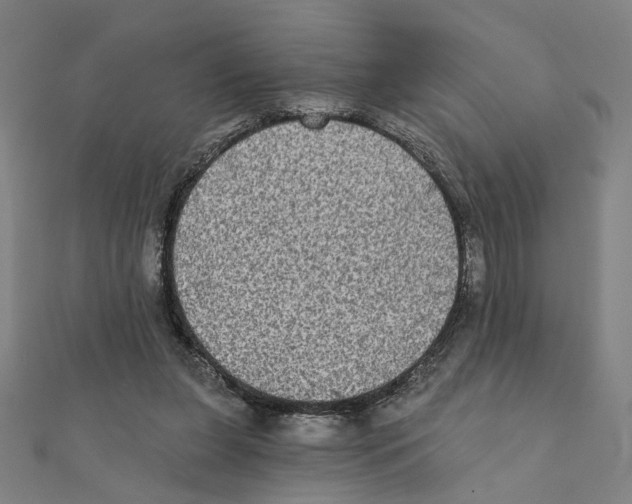 X0000111220255200907301231