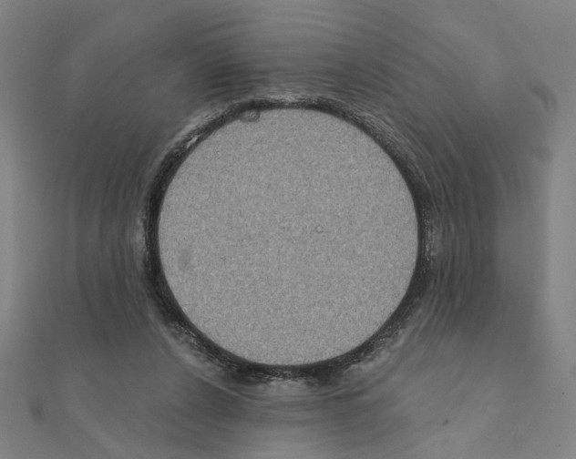 X0000111220256200907301231