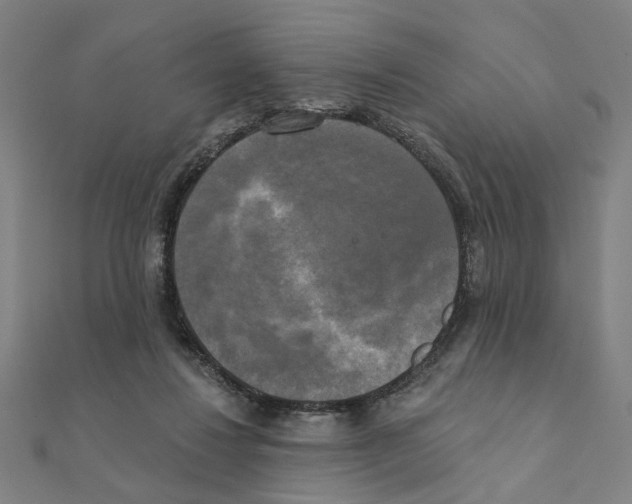 X0000111220260200907301232