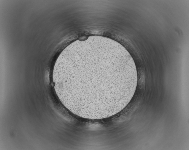 X0000111220262200907301232