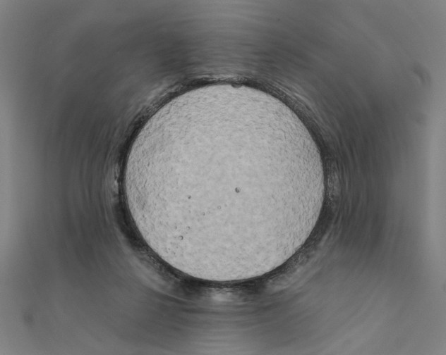 X0000111220264200907301232