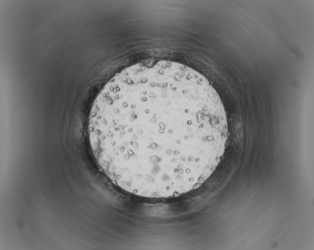 X0000111220266200907301232