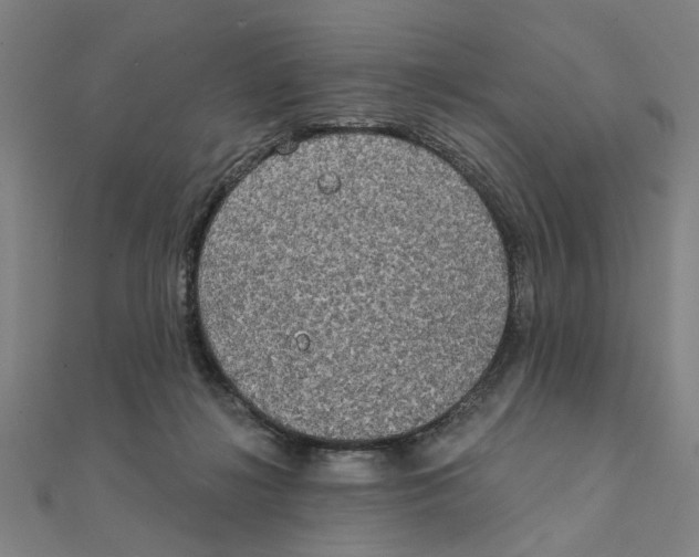 X0000111220268200907301232