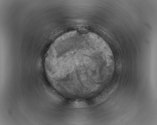 X0000111220270200907301232
