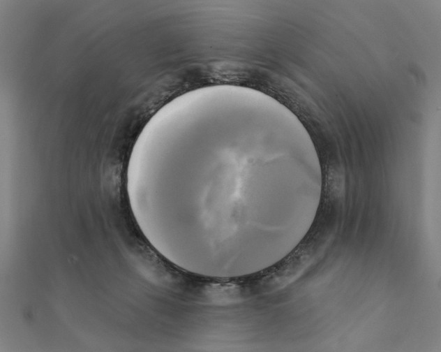 X0000111220271200907301232