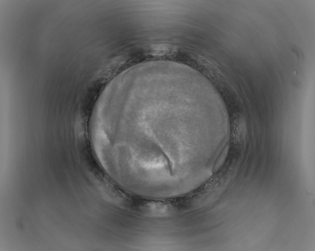 X0000111220272200907301232