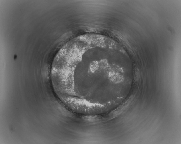 X0000111220273200907301232