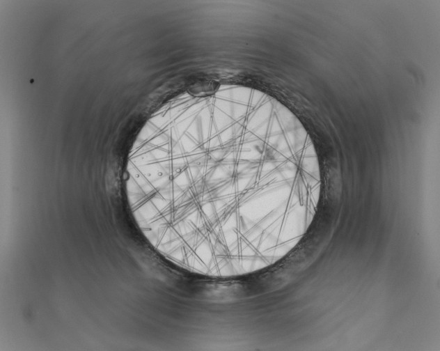 X0000111220274200907301232