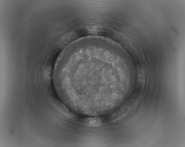 X0000111220275200907301232