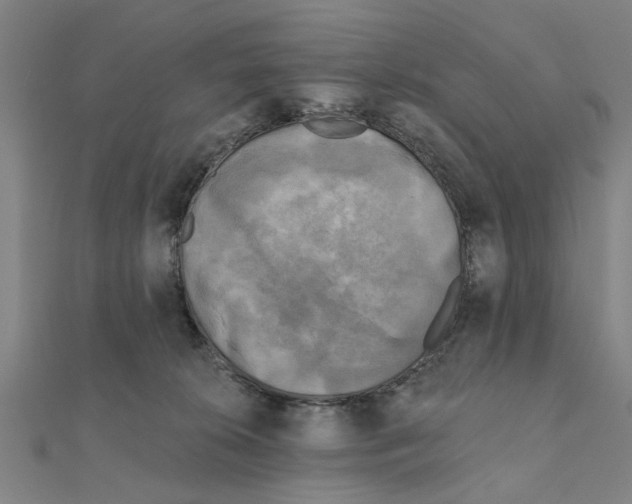 X0000111220276200907301232