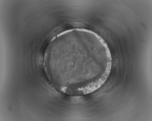 X0000111220281200907301232