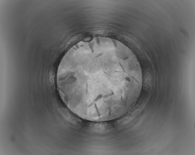 X0000111220282200907301232