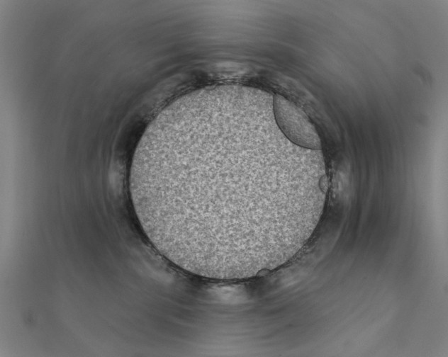 X0000111220283200907301232