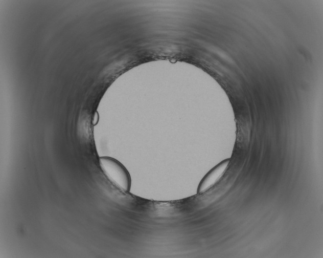 X0000111220287200907301232