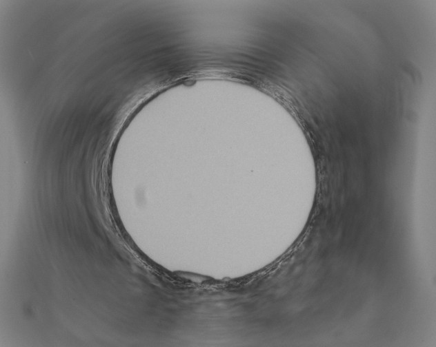 X0000111220289200907301231