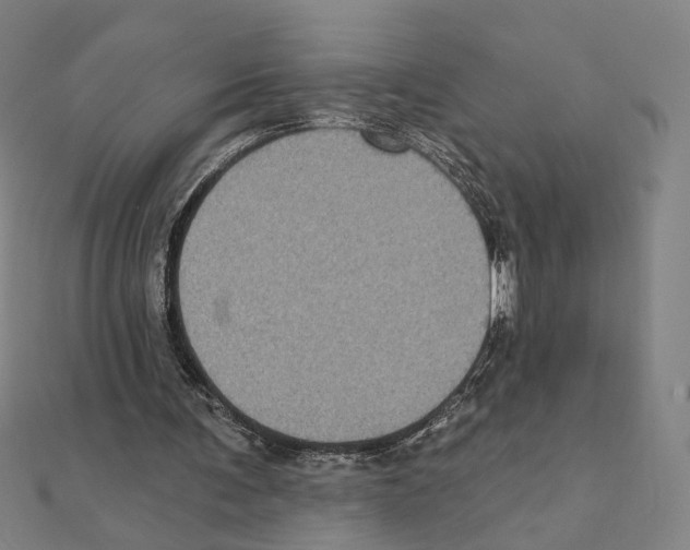 X0000111220291200907301231