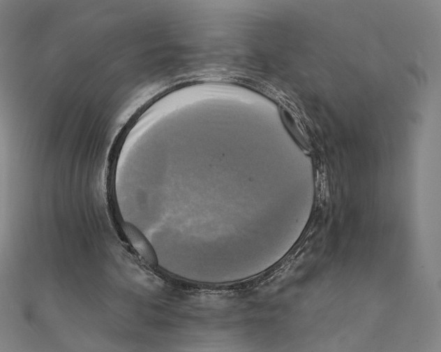 X0000111220292200907301231