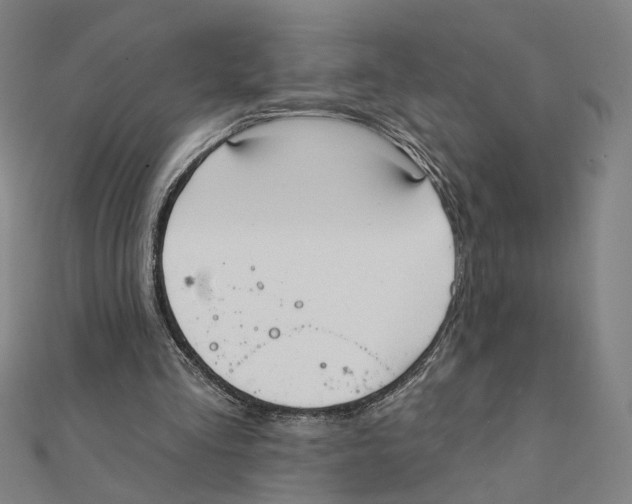 X0000111220293200907301231
