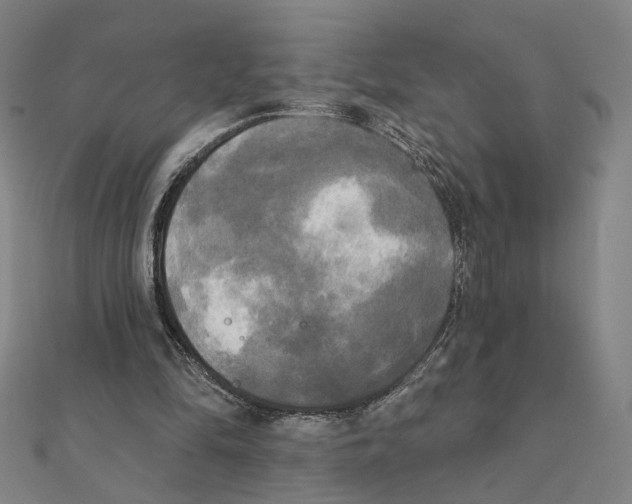 X0000111220294200907301231