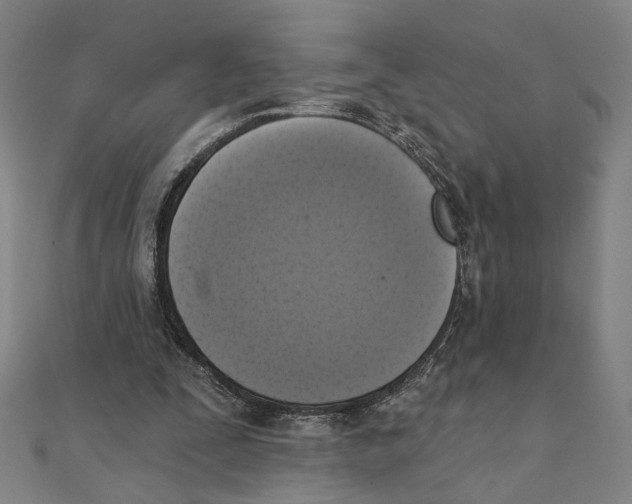 X0000111220295200907301231