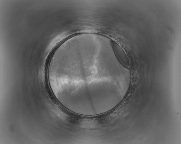X0000111220296200907301231