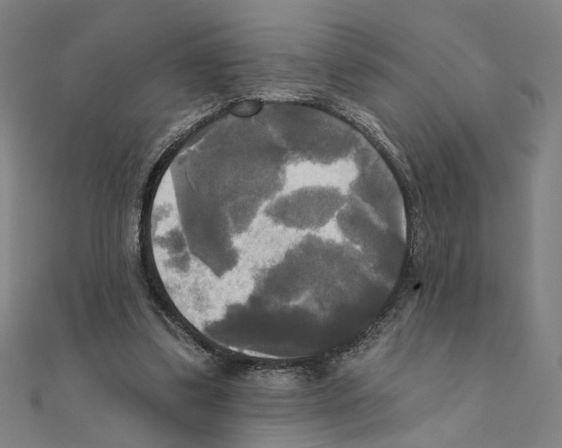 X0000111220299200907301231