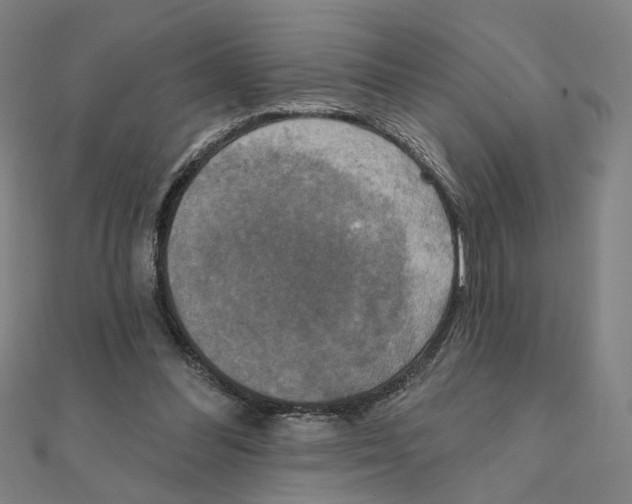 X0000111220300200907301231