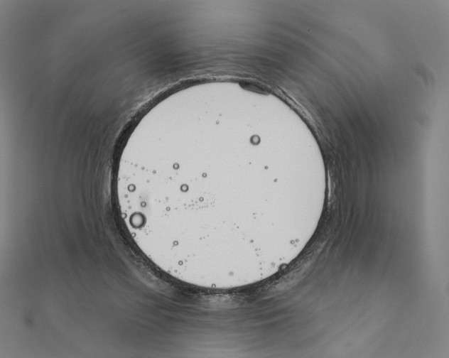 X0000111220301200907301231