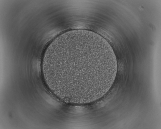 X0000111220302200907301231