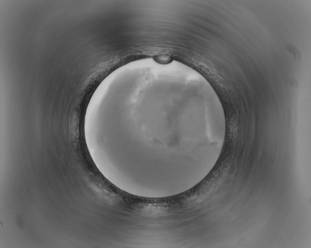 X0000111220303200907301231