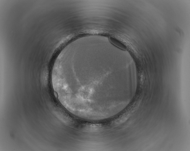 X0000111220304200907301231
