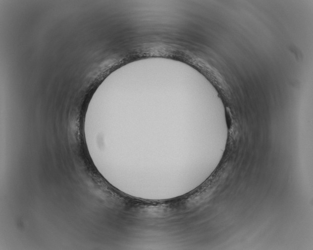 X0000111220306200907301231
