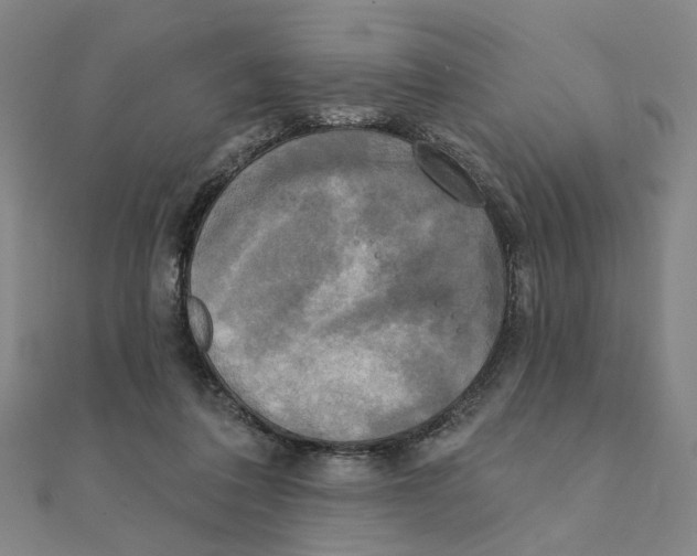 X0000111220308200907301231