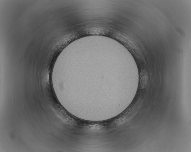 X0000111220310200907301231