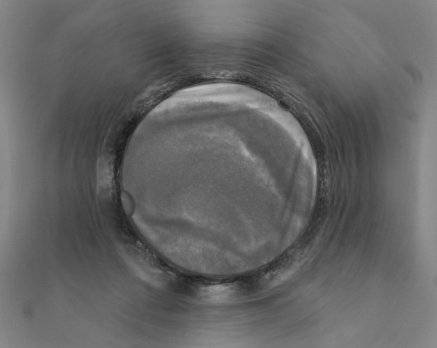 X0000111220312200907301231