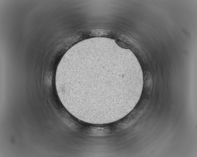 X0000111220315200907301231